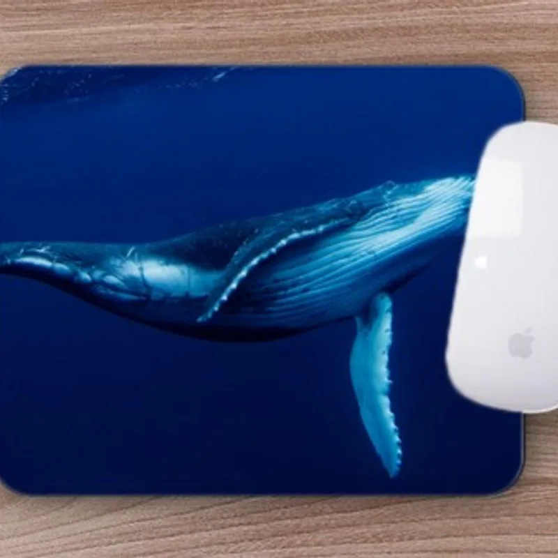 Mouse Pad Coleção 7 Mares, Baleia Jubarte Projeto Oceanos - DELUZZ