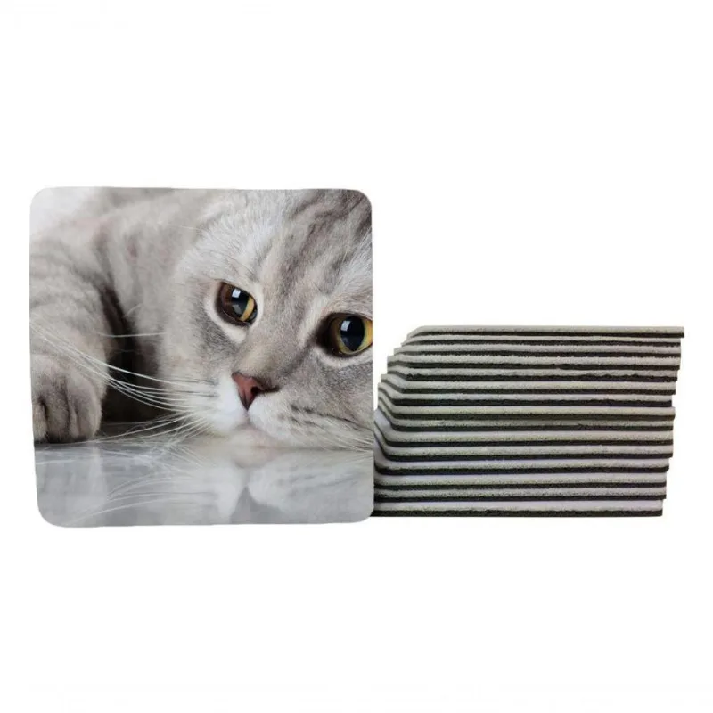 Jogo 6 Apoio De Chopp Linha Cat Quadrado