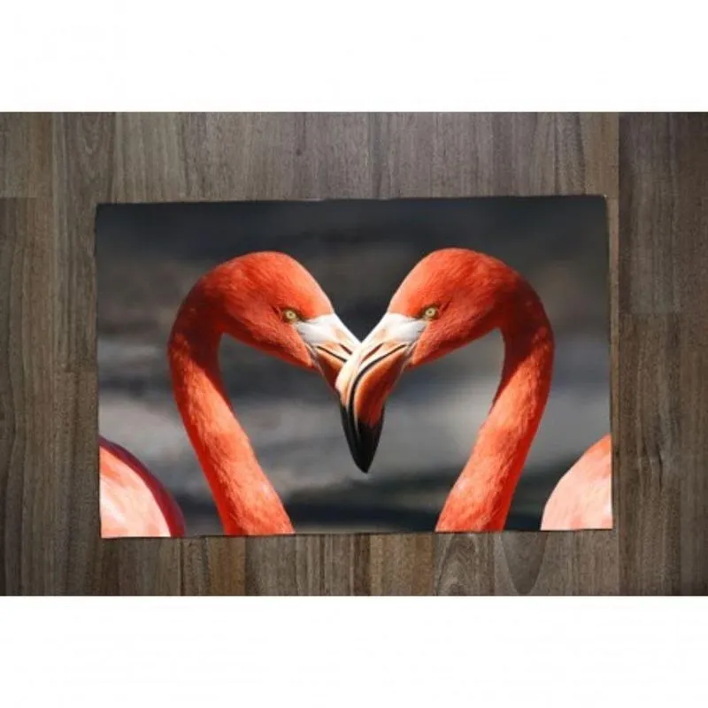 Jogo Americano Flamingo