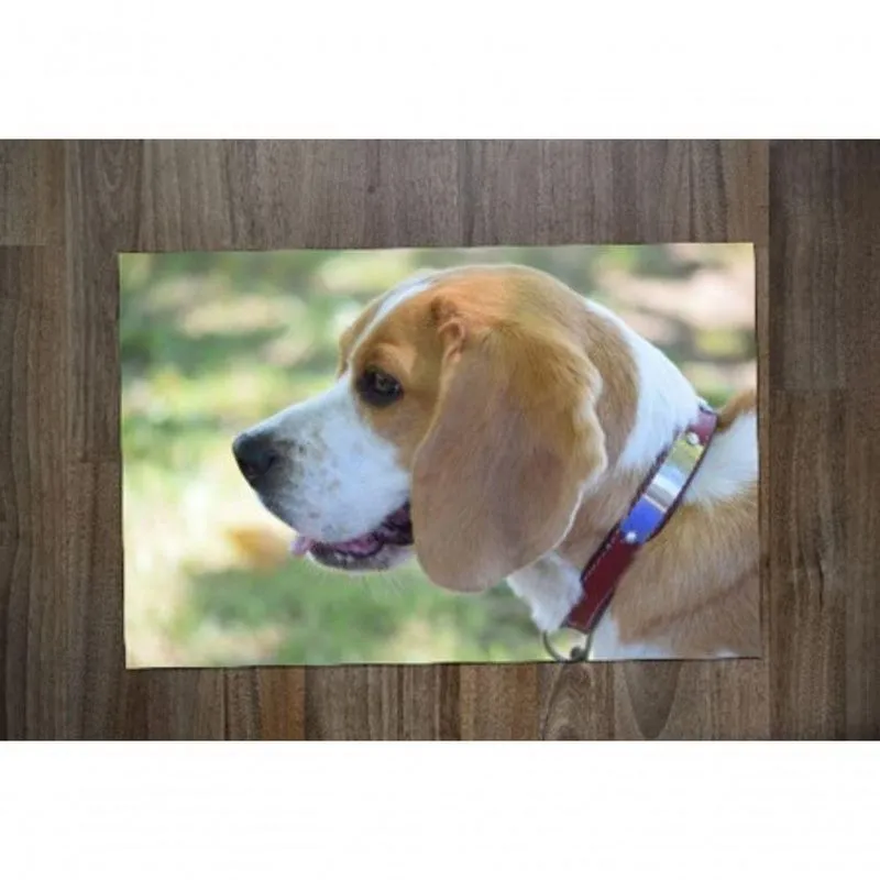 Jogo Americano Beagle