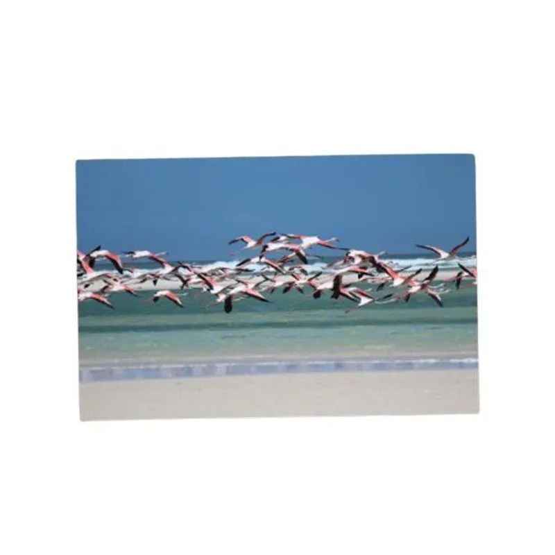 Jogo Americano Coleções Animais Flamingo Voando 40x30cm
