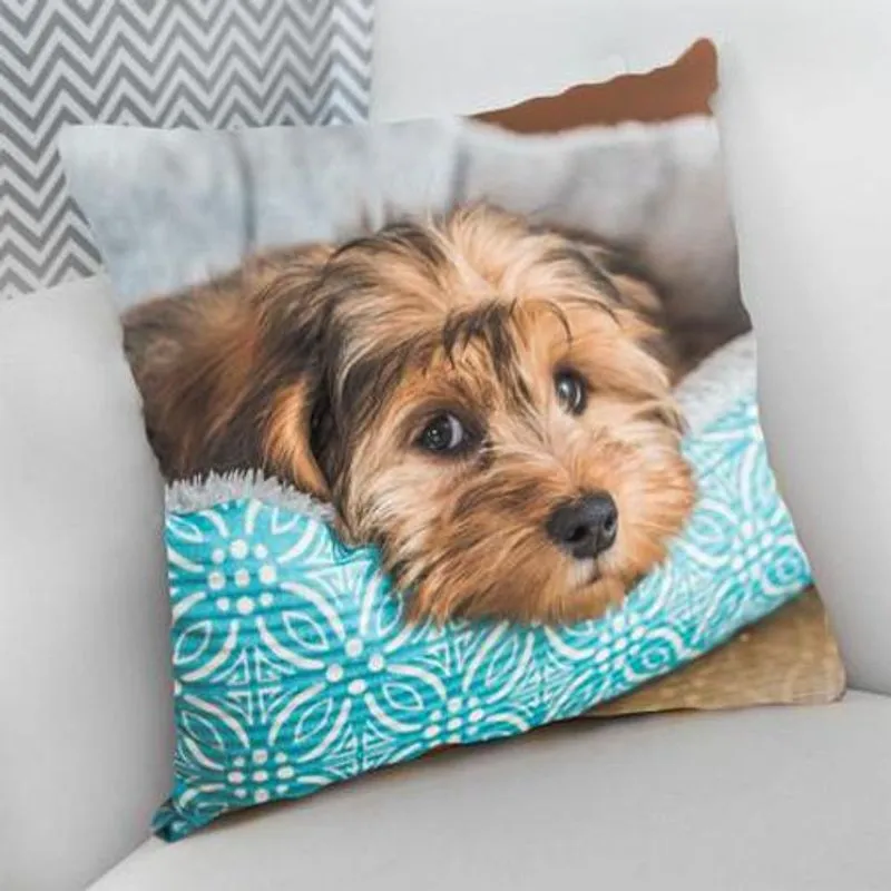 Almofada Decorativa 25 X 25cm Shih Tzu, Deuses Arteiros