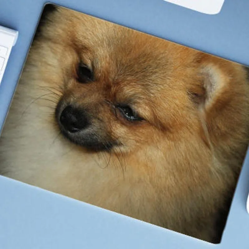 Mouse Pad Grande Spitz Alemão - DELUZZ