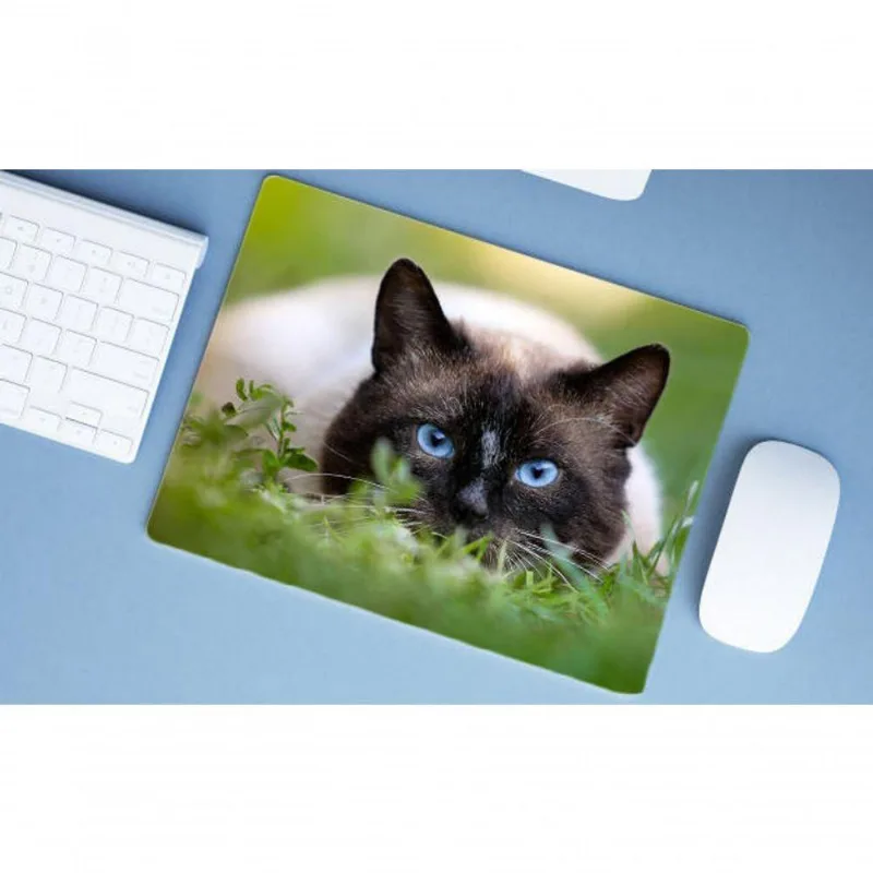 Mouse Pad Grande Siamês - DELUZZ