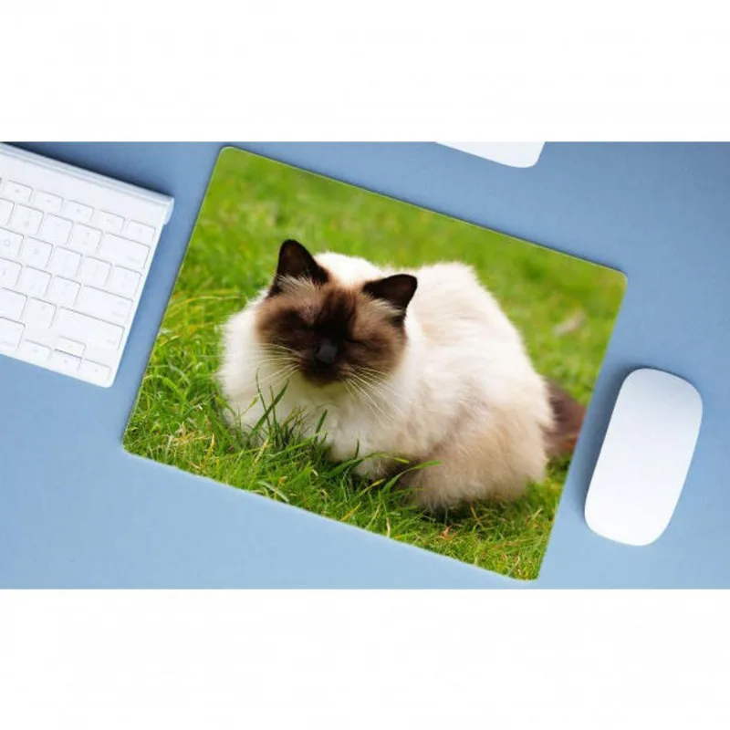 Mouse Pad Grande Himalaia - DELUZZ