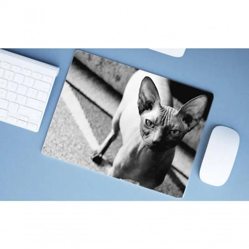Mouse Pad Grande Sphynx - DELUZZ