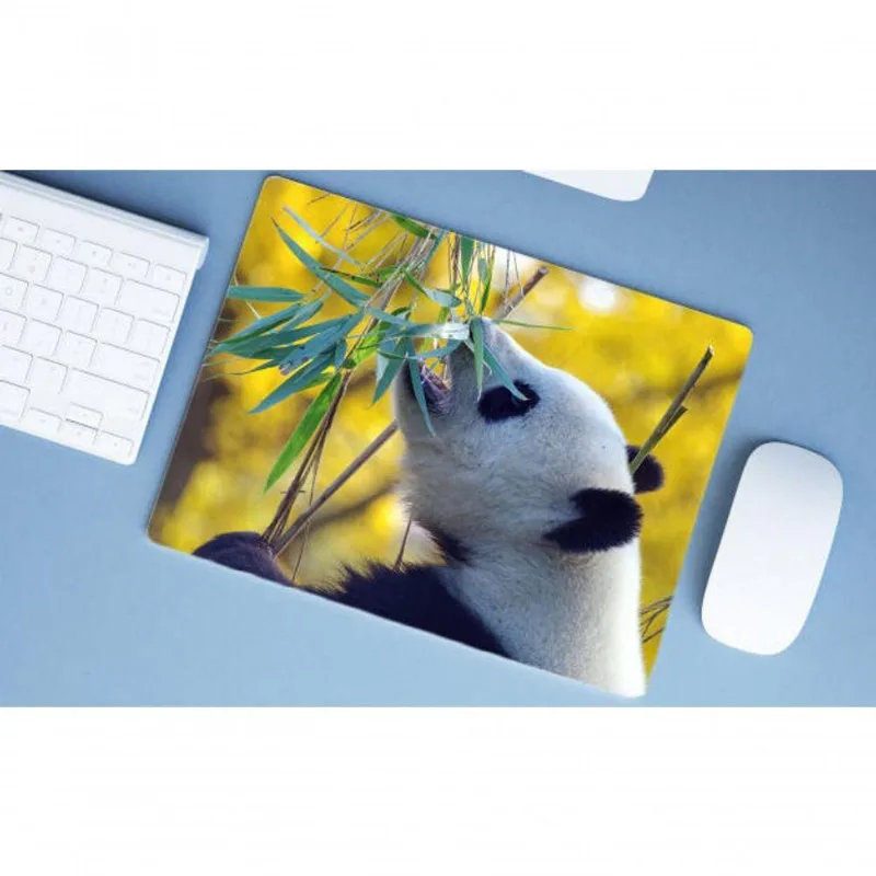 Mouse Pad Grande Panda - DELUZZ