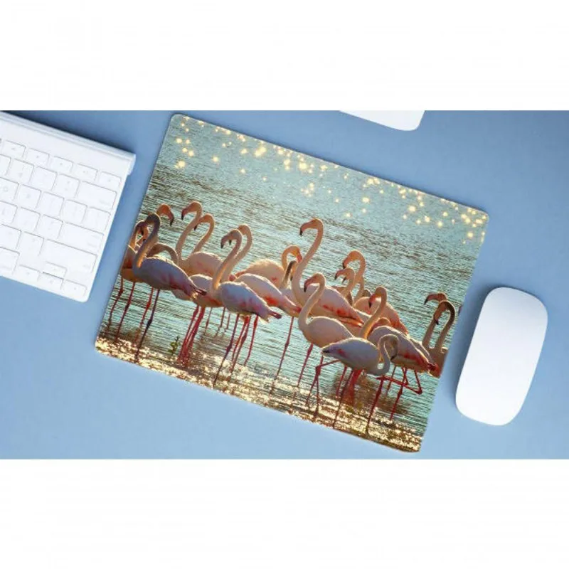 Mouse Pad Grande Flamingo Na água - DELUZZ