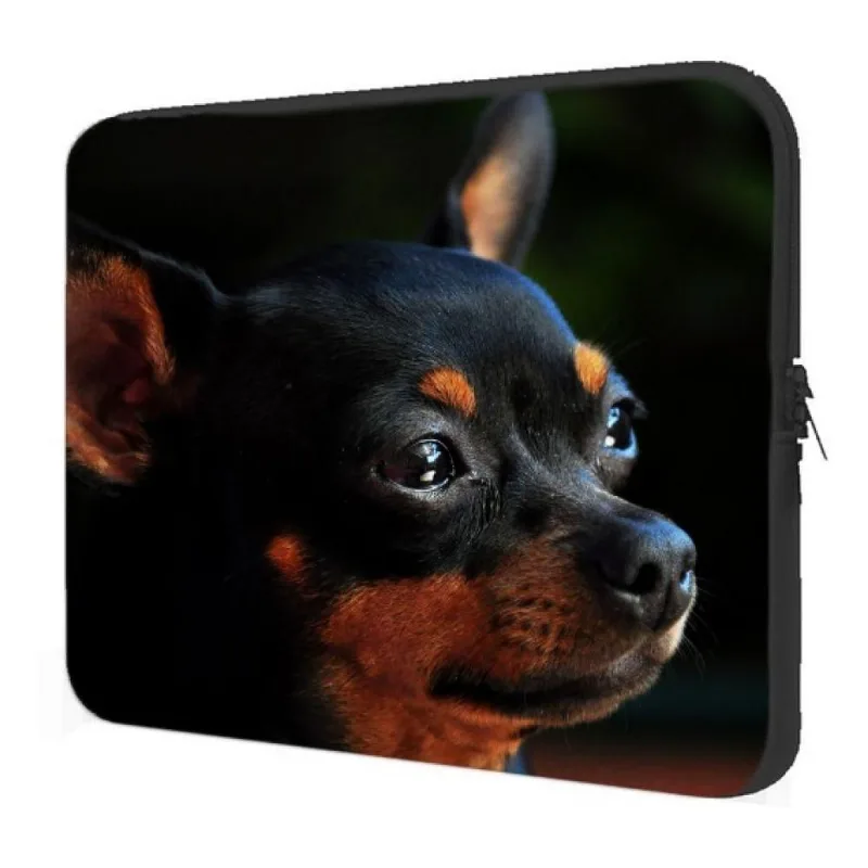Case Notebook 14" Maleta Pinscher