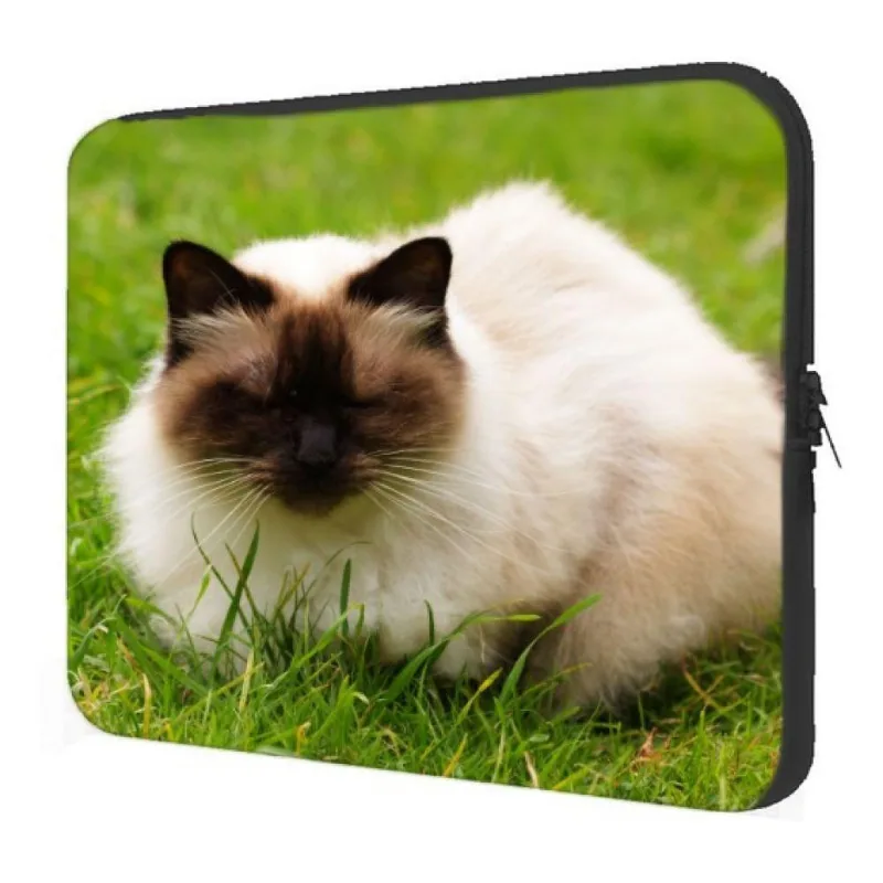 Case Notebook 14" Hp Himalaia a Mistura Que Deu Certo