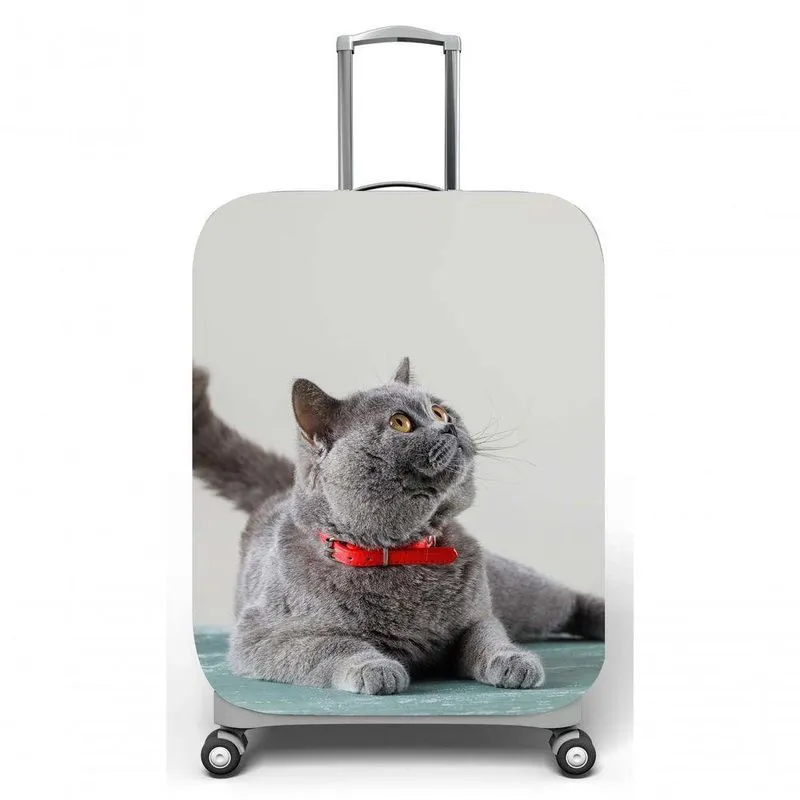 Capa Para Mala De Viagem M, C40x A59 X P27cm Gato Cinza