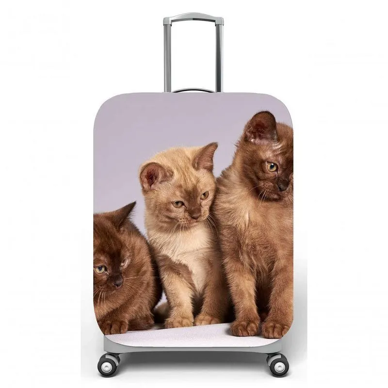 Capa Mala Viagem M, C40x A59 X P27cm Filhotes De Gatinhos