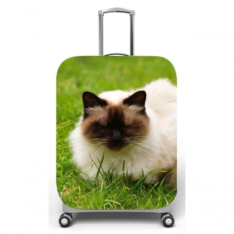 Capa Para Mala De Viagem M, C40x A59 X P27cm Gato Himalaia