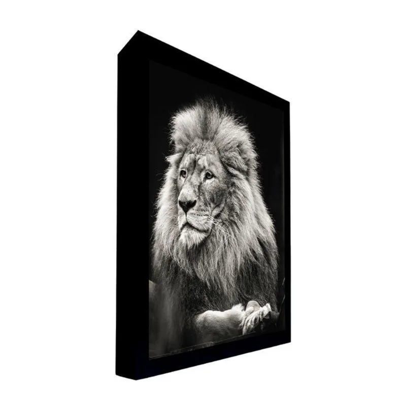 Quadro 135x135 Cm Leão 008 com Moldura Laqueada Preto - Gran Belo