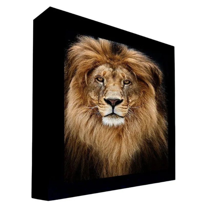 Quadro 100x70 Cm Leão 002 Moldura Laqueada Preto