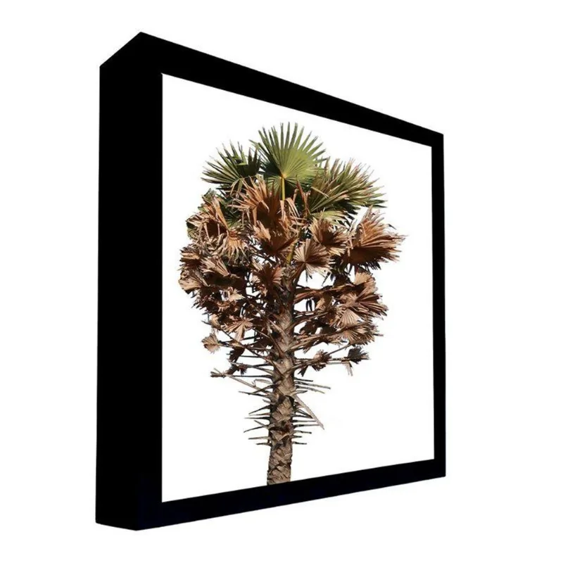 Quadro 100x70 Cm árvore 017 com Moldura Laqueada Preto - Gran Belo