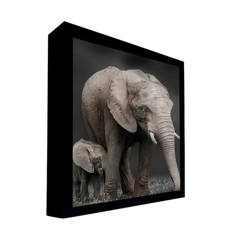 Quadro 100x70 Cm Elefante 015 com Moldura Laqueada Preto - Gran Belo