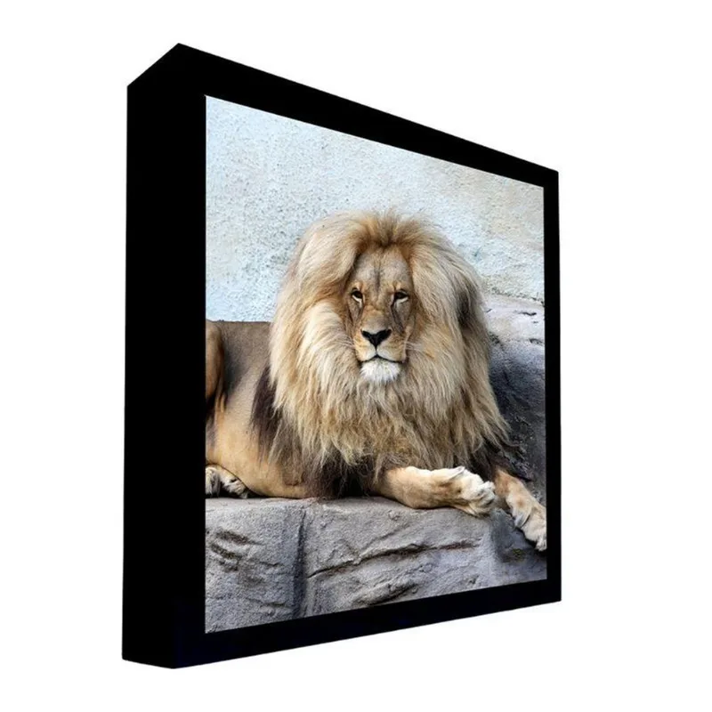 Quadro 100x70 Cm Leão 018 com Moldura Laqueada Preto - Gran Belo