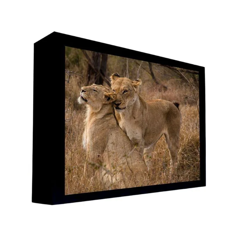 Quadro 50x70 Cm Leão 013 com Moldura Laqueada Preto - Gran Belo