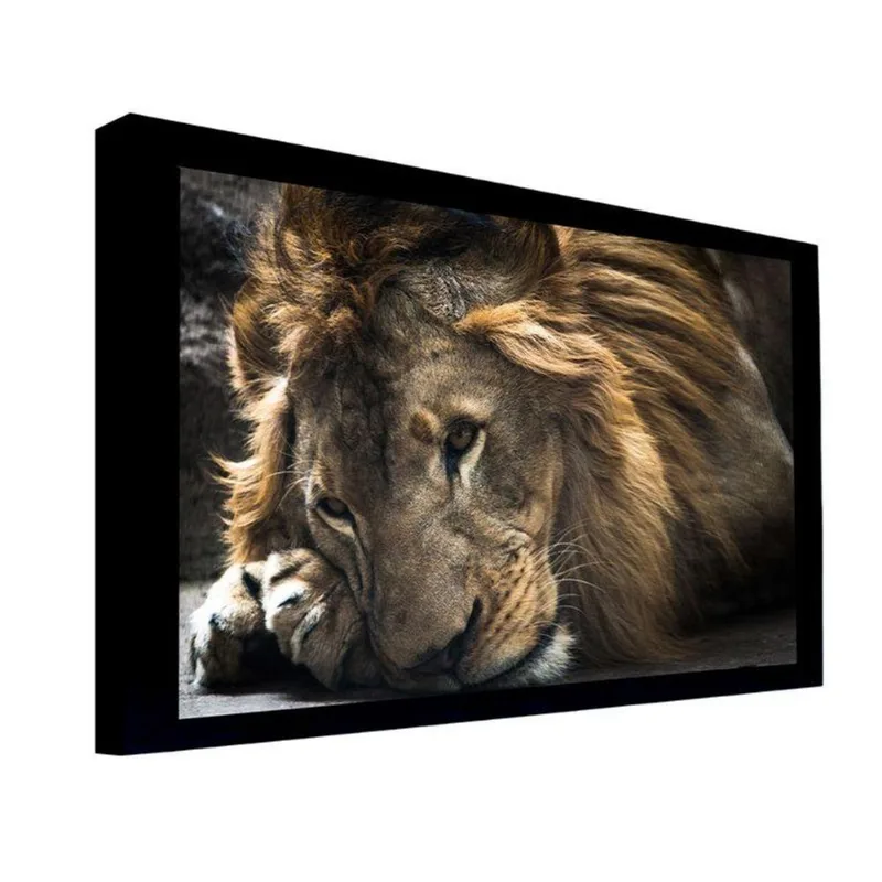 Quadro 50x70 Cm Leão 032 com Moldura Laqueada Preto - Gran Belo