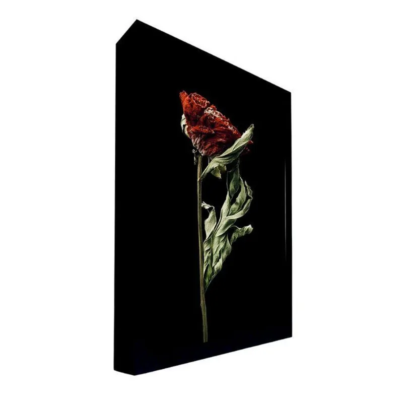 Quadro 100x70 Cm Flor 039 com Moldura Laqueada Preto - Gran Belo