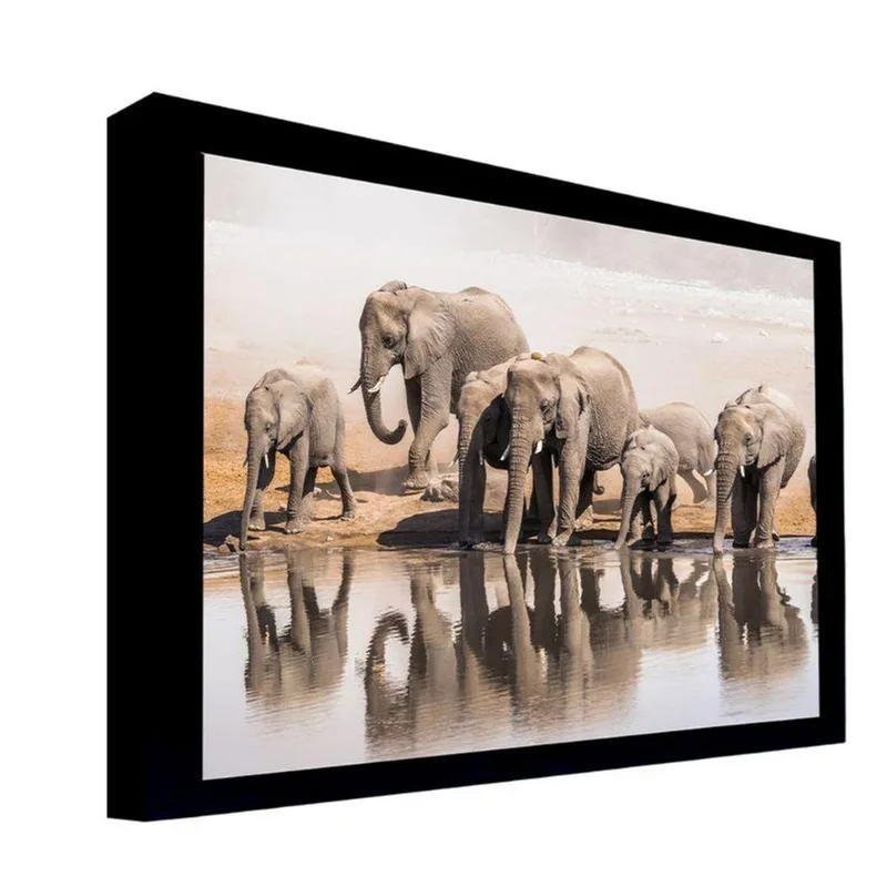 Quadro 100x70 Cm Elefante 060 com Moldura Laqueada Preto - Gran Belo