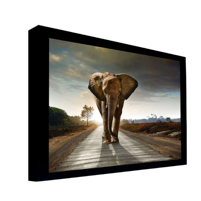 Quadro 135x135 Cm Elefante 058 com Moldura Laqueada Preto - Gran Belo