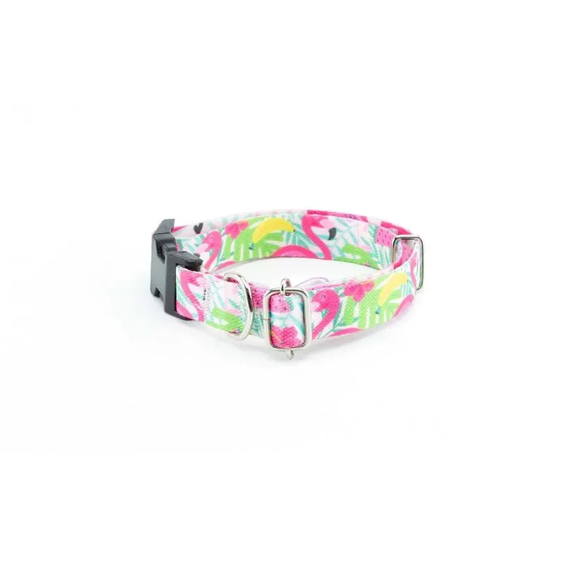 Coleira cachorro Smooty Pet Flamingo