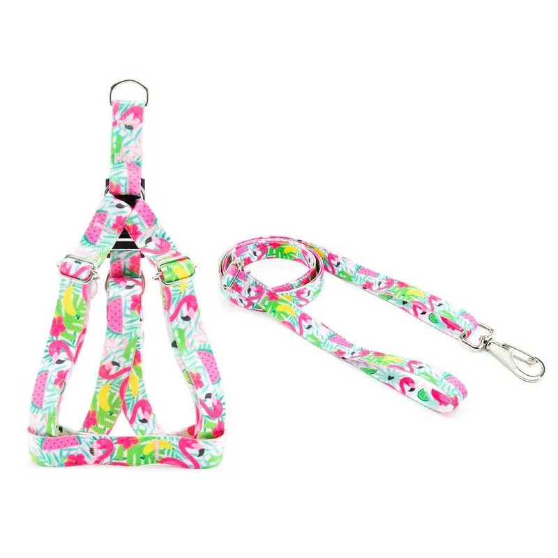 Peitoral e Guia Smooty Pet Flamingo P kit