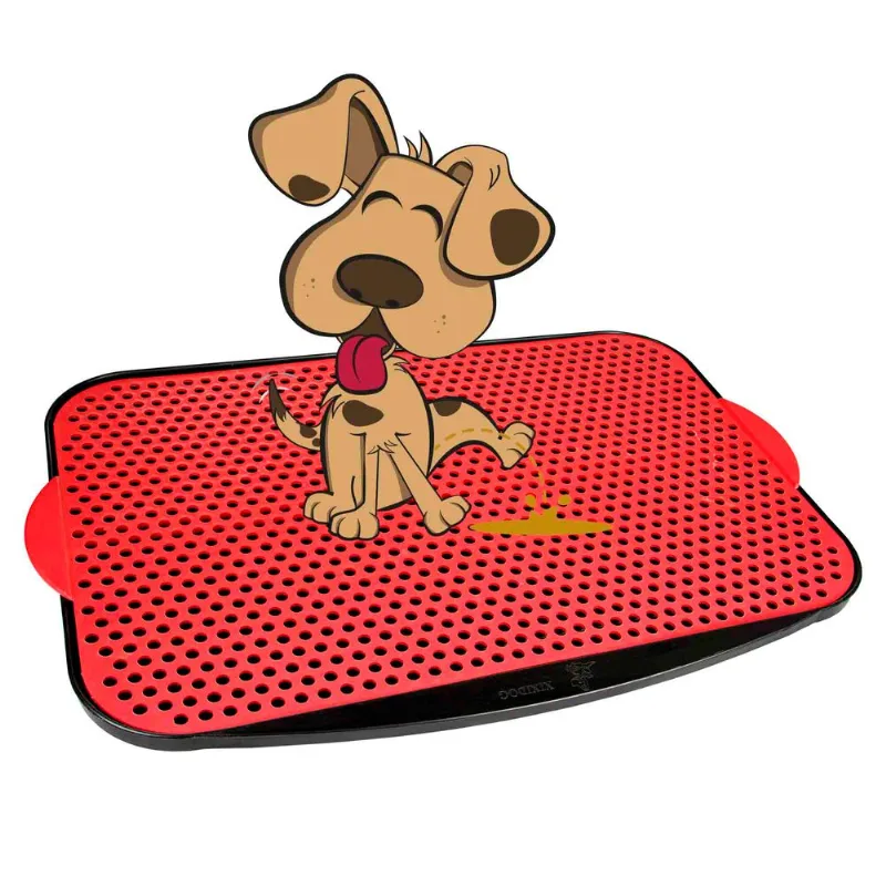 Xixi Dog
