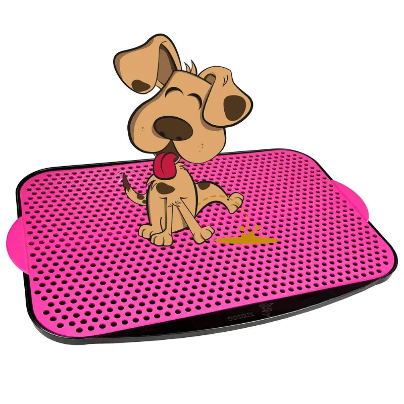 Xixi Dog