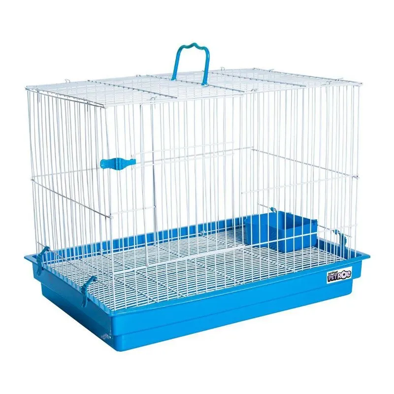 Gaiola Para Coelho Teto Reto Azul