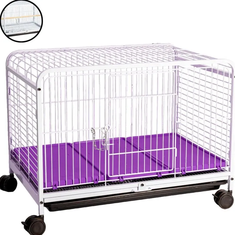 Viveiro Fauna Pet Luxo Pequeno Multiuso Branco Lilás