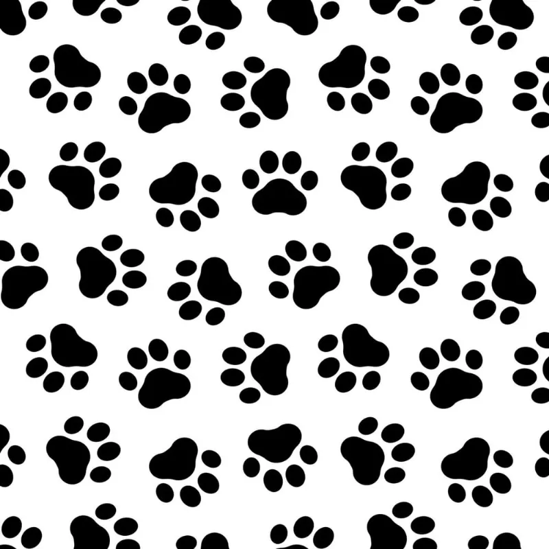Papel de Parede Patinhas Cachorro Pet Shop 57x270cm