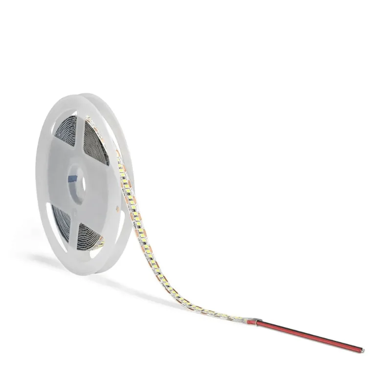 Fita LED SMD - 50M 240 LEDs 19W 6.500K 220V
