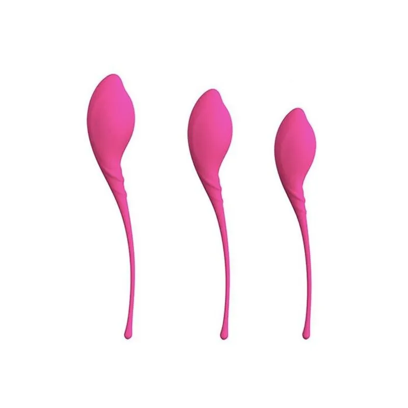 Kit Para Pompoar Com 3 Diferentes Pesos Lamboll Lovetoys
