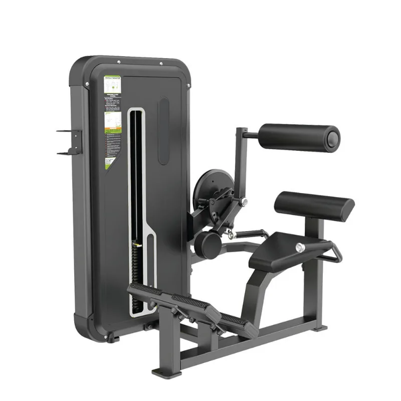 Back Extension CLASSIC - EM142 EM142