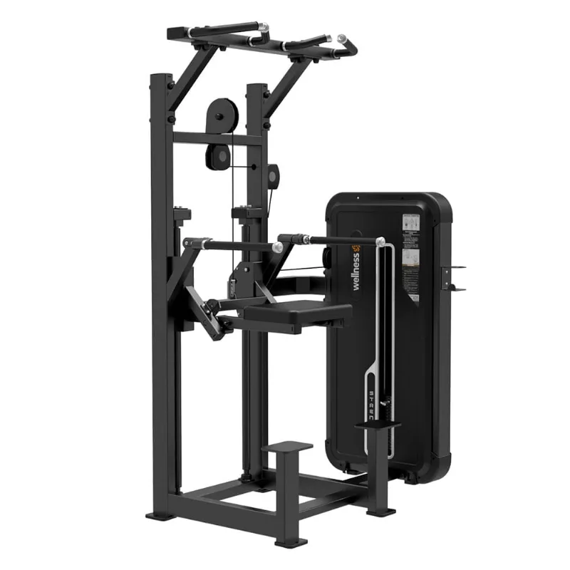 Assisted Chin/Dip Classic (Greaviton) Wellness - EM189 EM189