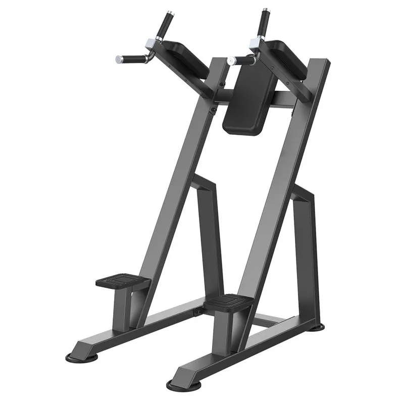 Vertical Knee Raise Classic Preto Wellness - EM219 EM219