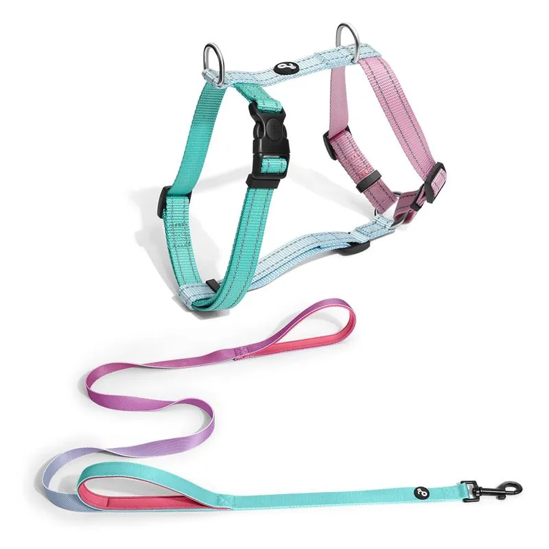 Kit Guia Alça Dupla e Peitoral H Tam. PP Mimo - PP275A PP275A