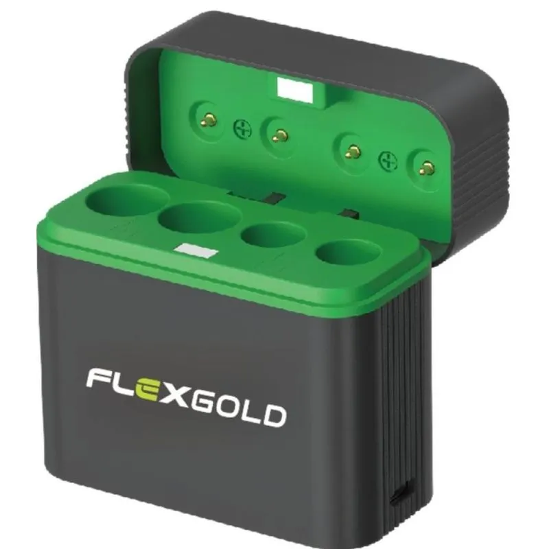 Carregador De Pilhas Para pilhas AA/AAA Cabo Type-c FX-C21