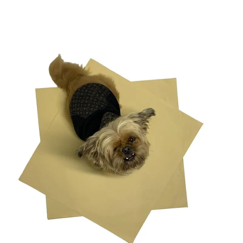 Jornal Pet Para Cachorro Com Xixi Pode Atrativo 60cm X 55cm