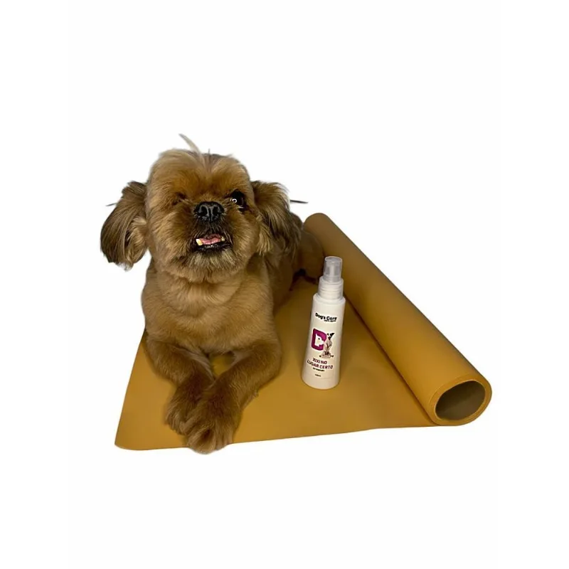 Papel Higiênico Para Pet 30cm X 25m+ Spray Xixi Pode