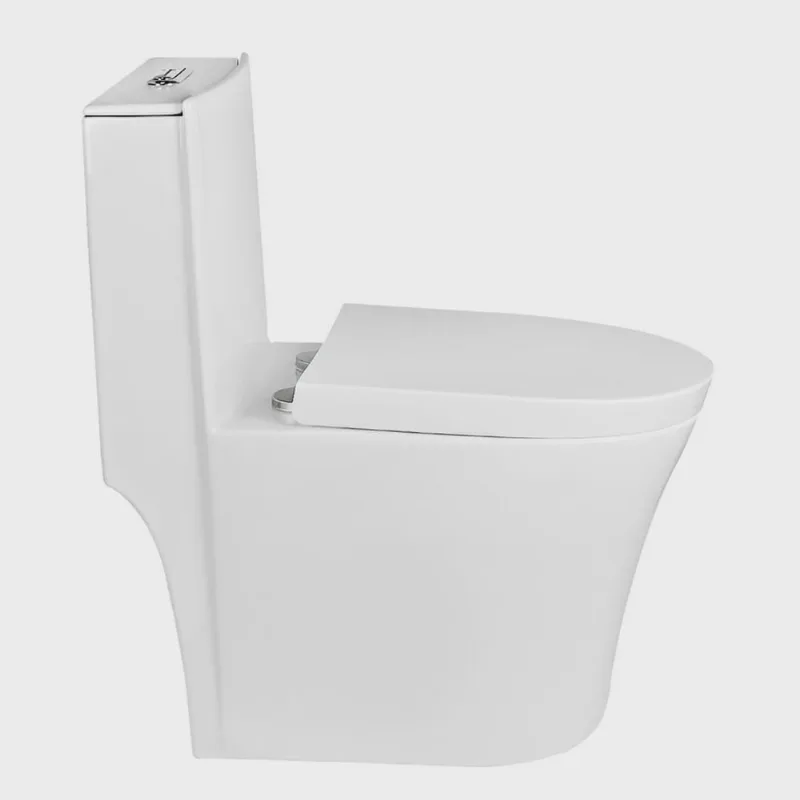 Vaso Sanitário Monobloco Caixa Acoplada Privada Paris Branco