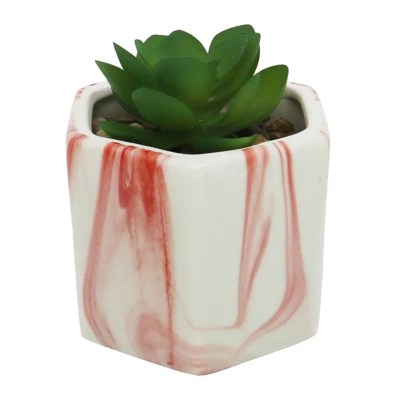 Vaso Marmorizado Com Suculenta 8,5x8x6,9cm Sortido Ct3497 - Yin´S Home