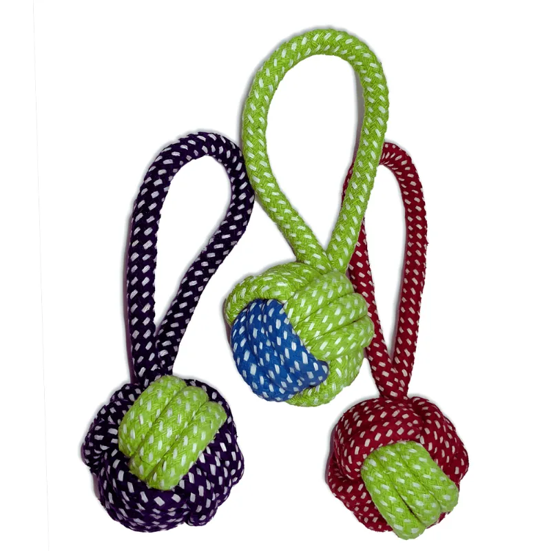Brinquedo Pet Bola c/ Corda - Modelos Sortidos - Pet Amazoo