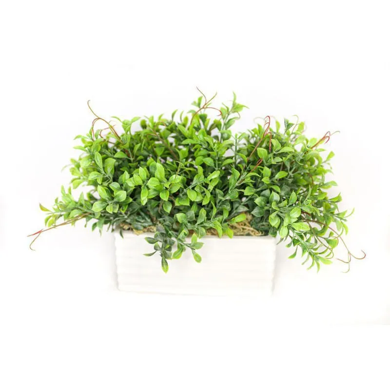 Vaso Com Folhagens Verdes Feito Em Cerâmica Branco