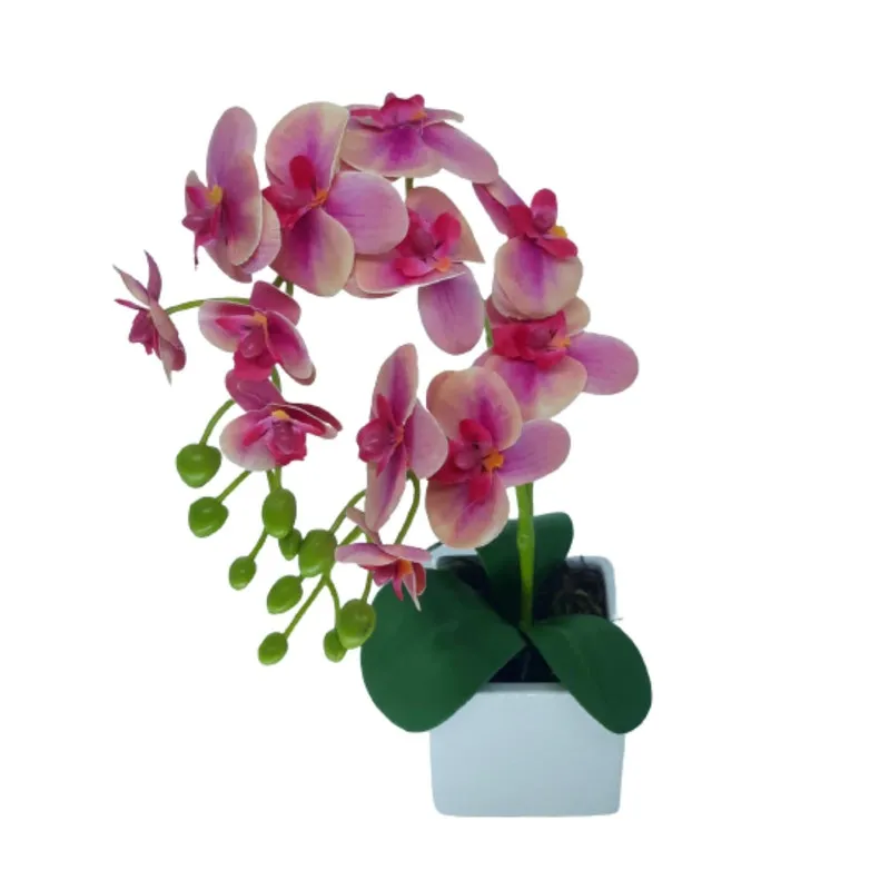 Mini Arranjo Orquídeas Rosa Mescladas