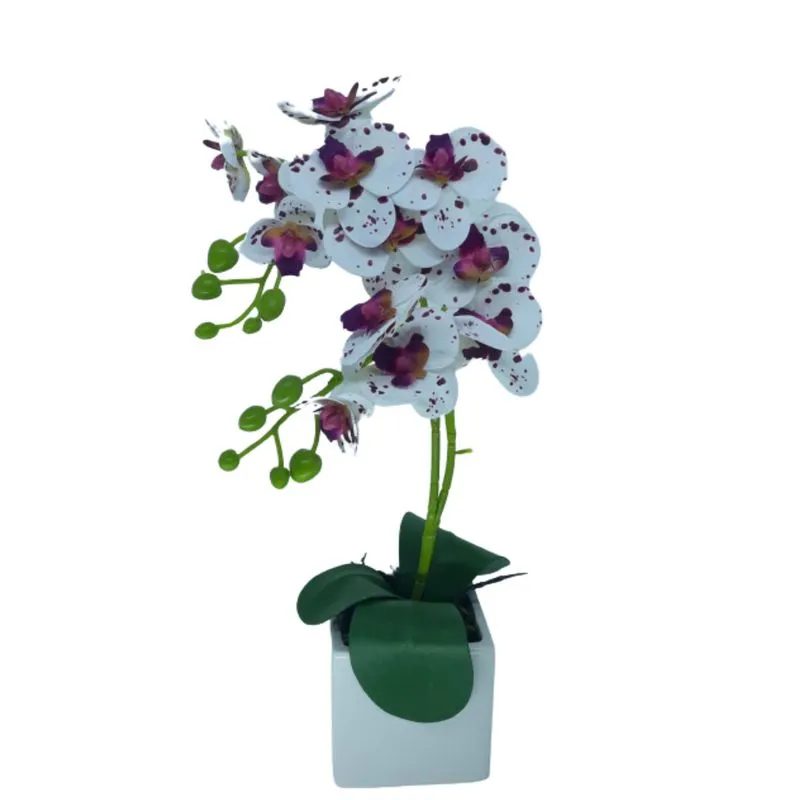 Mini Arranjo Orquídeas Branca Mesclada