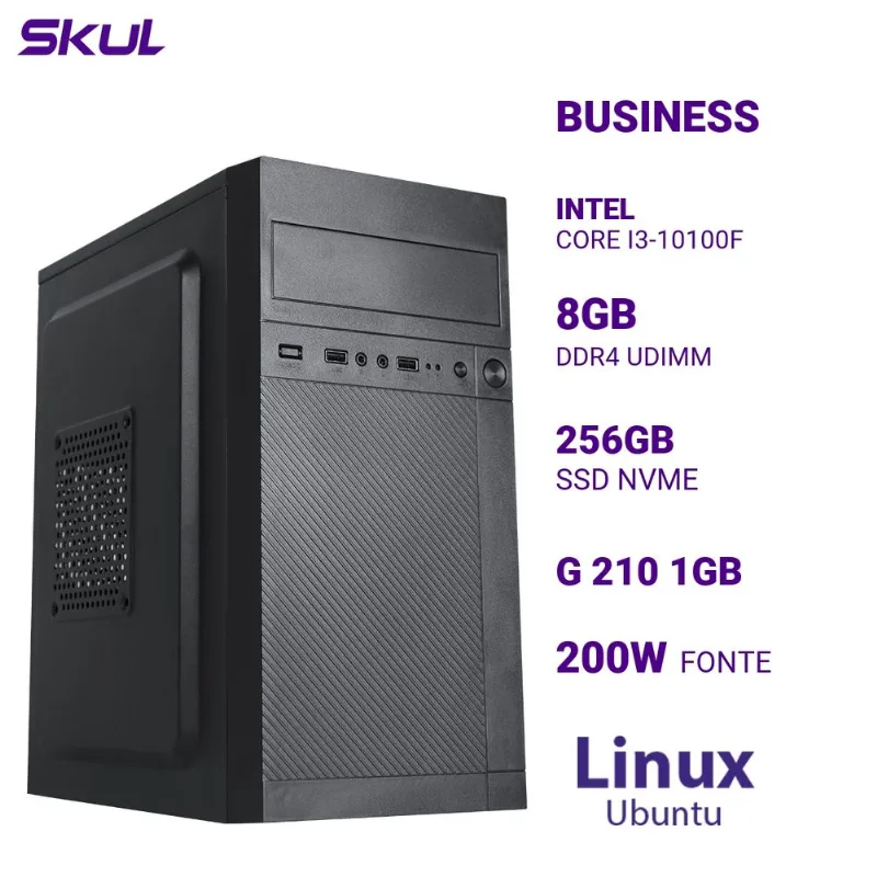 Computador i3 10100F 8GB SSD 256GB G 210 Linux Ubuntu B300 SKUL